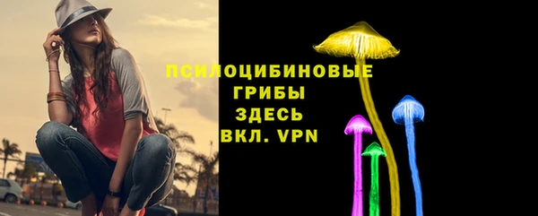 Альфа ПВП Белокуриха