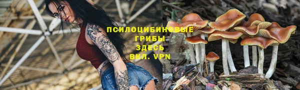 Альфа ПВП Белокуриха