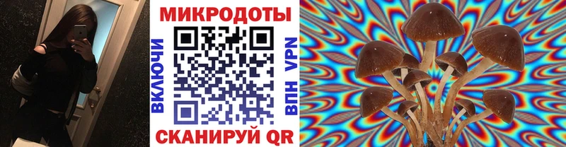 Галлюциногенные грибы ЛСД Губкинский